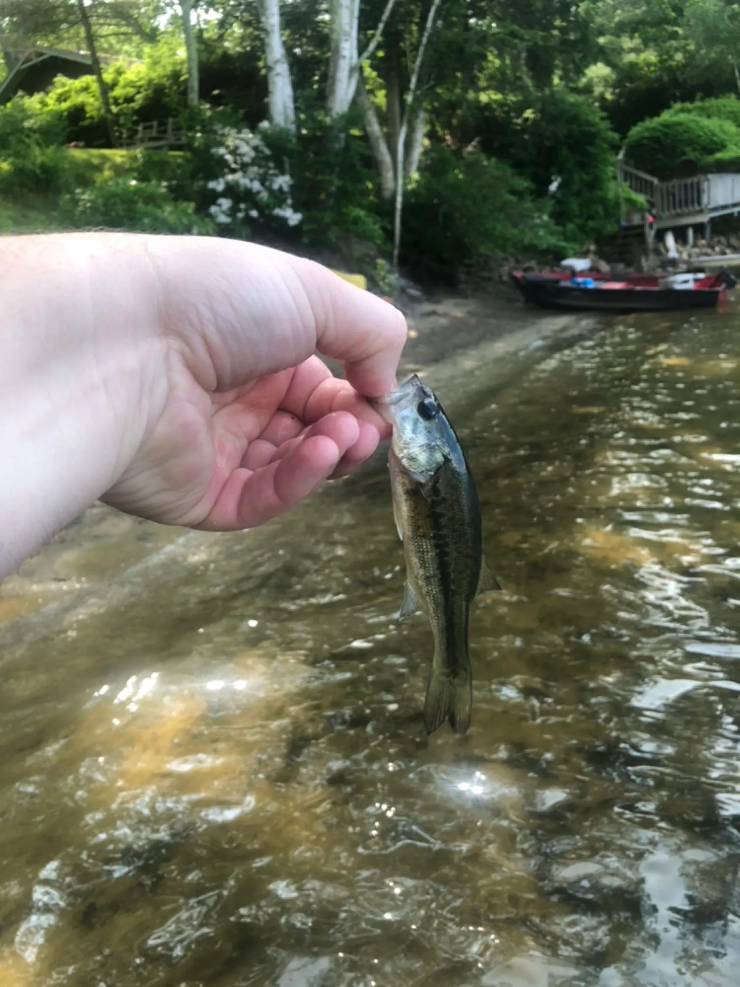 Post image from robran8