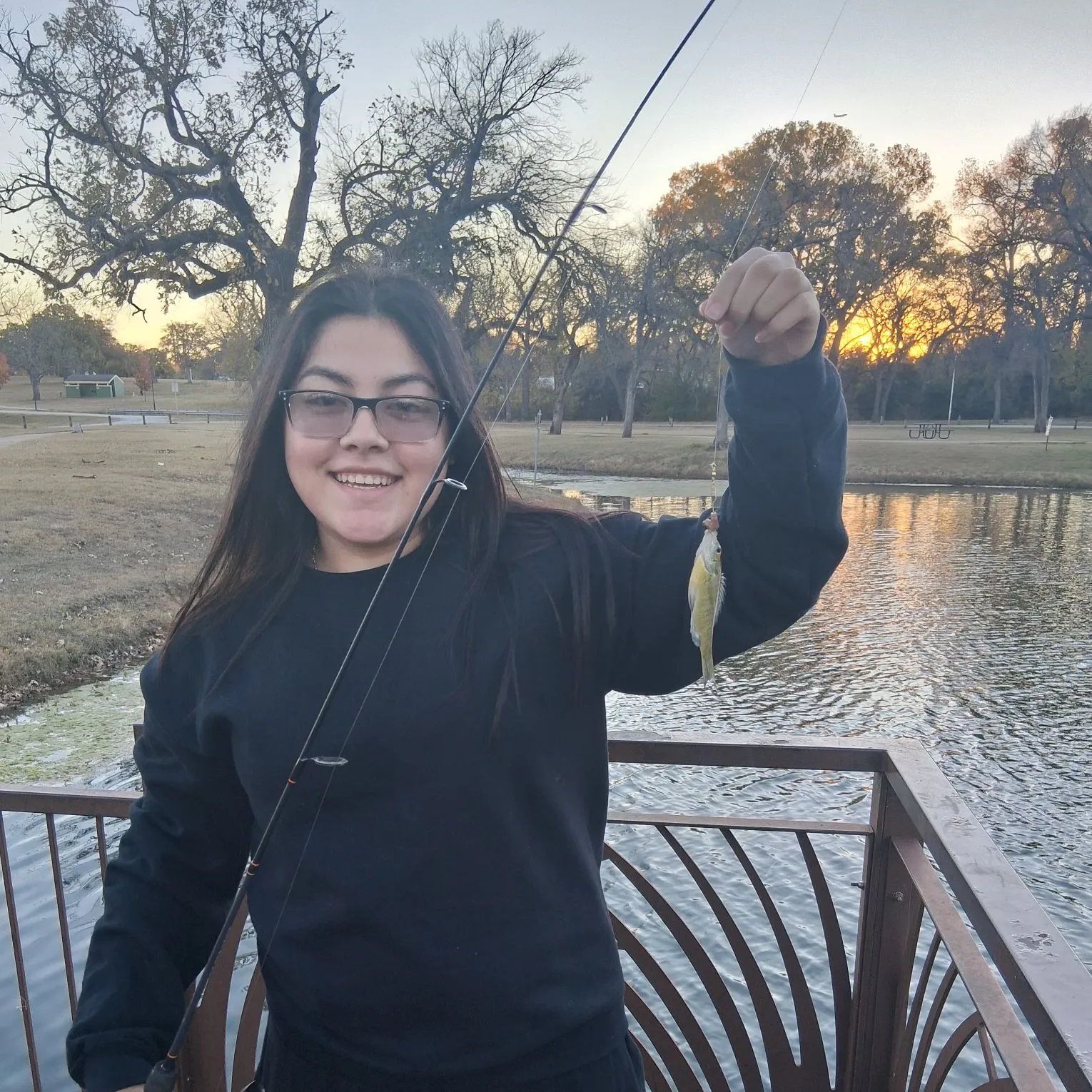 The most recent Common logperch catches on Fishbrain