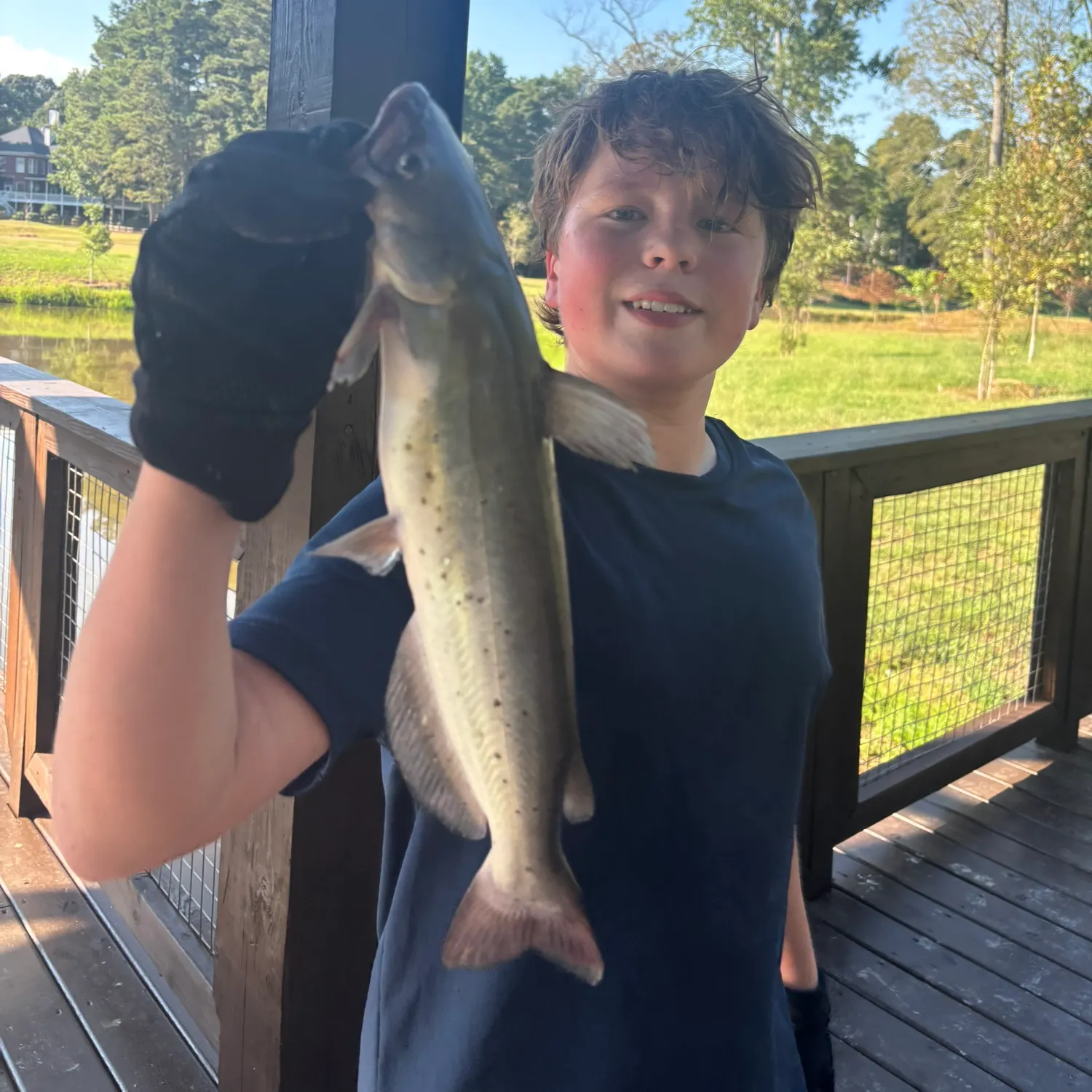 Channel catfish caught on Fishbrain