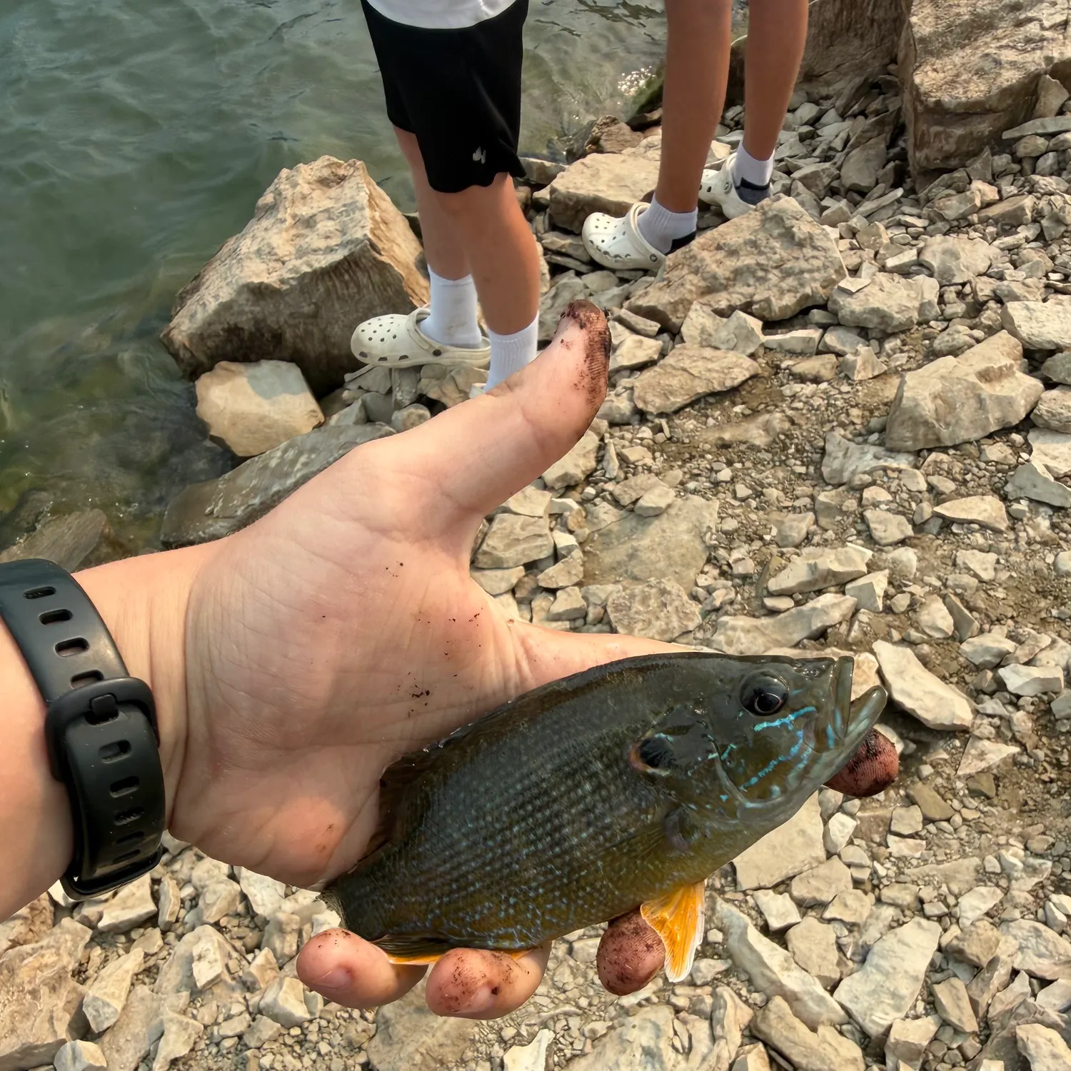 catch