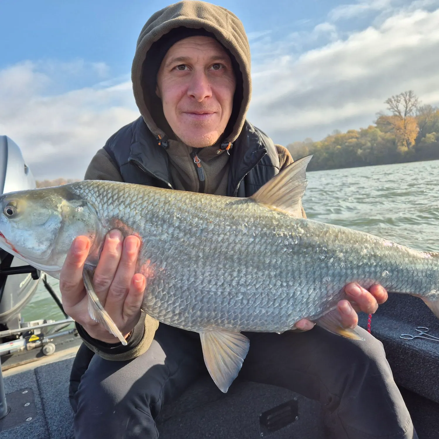 The most recent Asp catches on Fishbrain