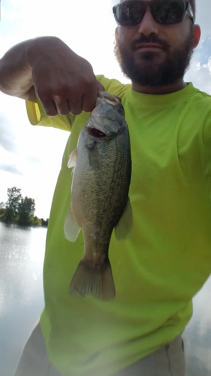 Post image from RiverRecon