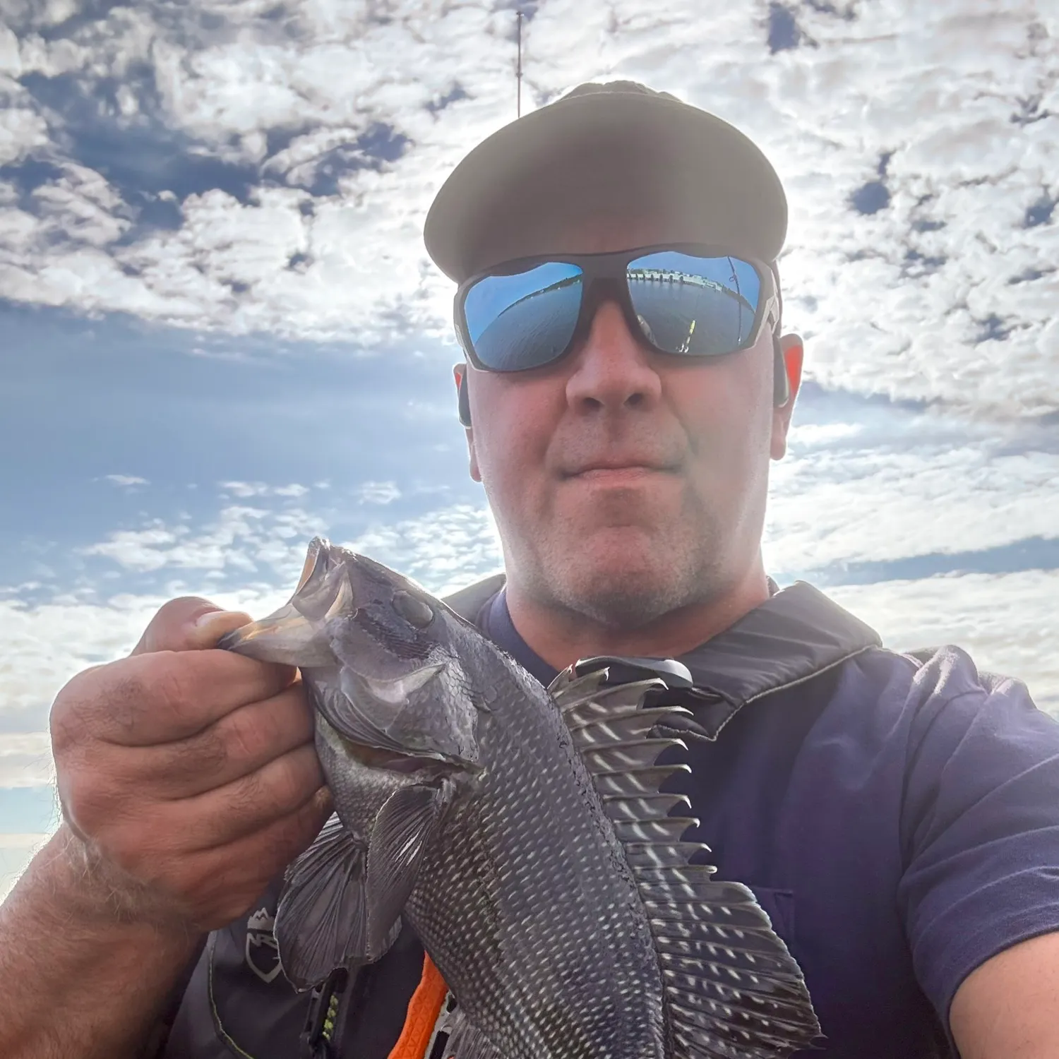 Black sea bass caught on Fishbrain