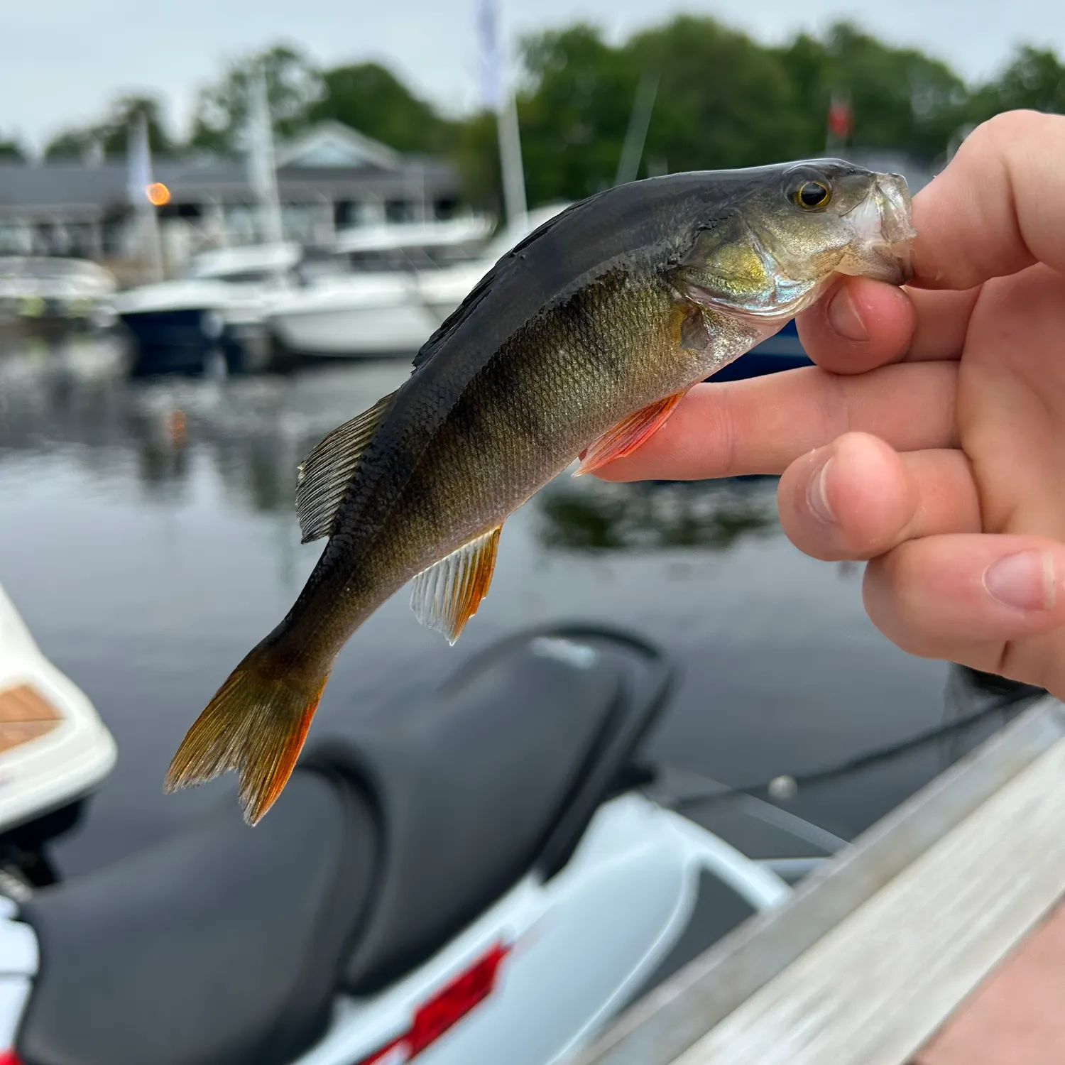 catch
