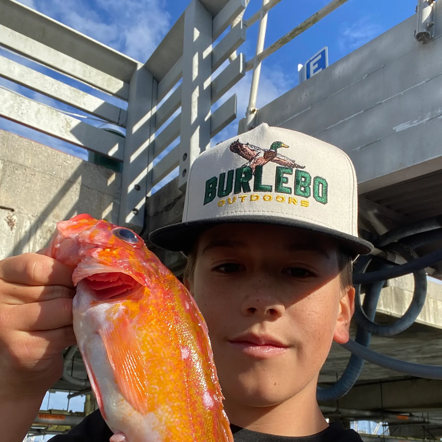 Vermilion rockfish caught on Fishbrain