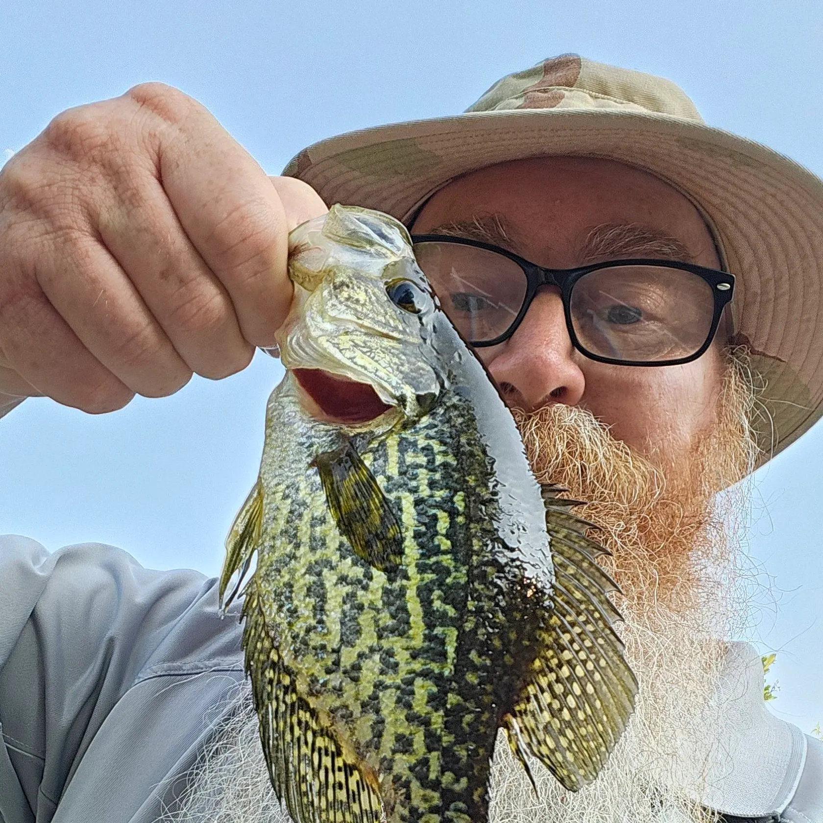 angler catch