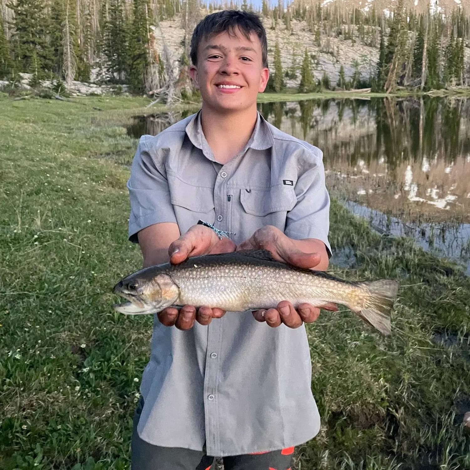 Brook trout caught on Fishbrain