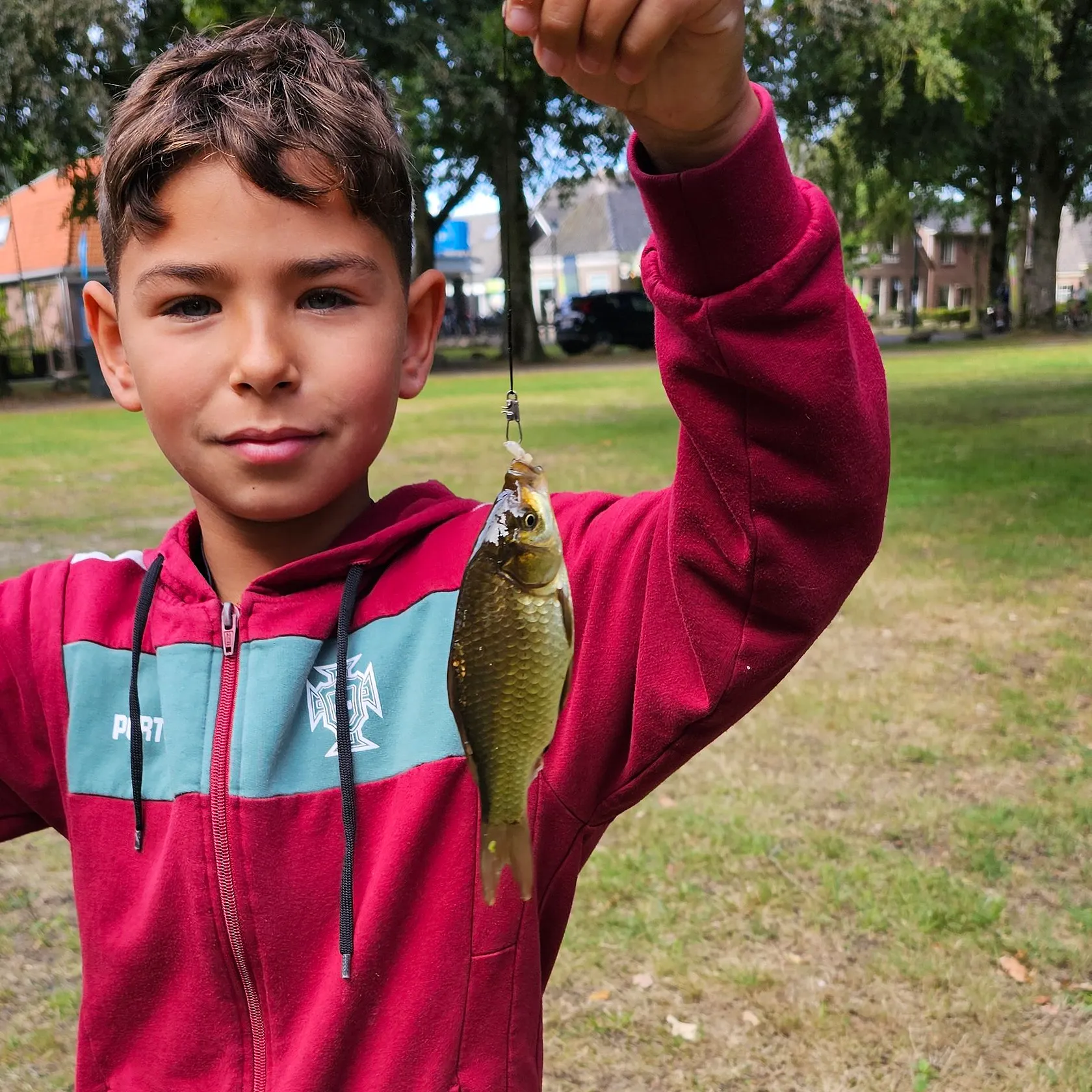 Common carp caught on Fishbrain