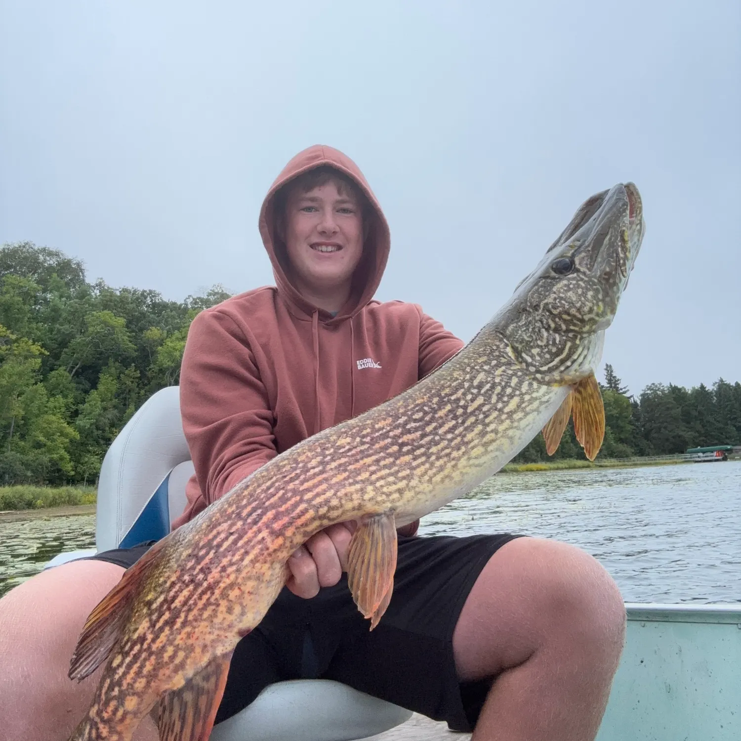 Northern pike caught on Fishbrain