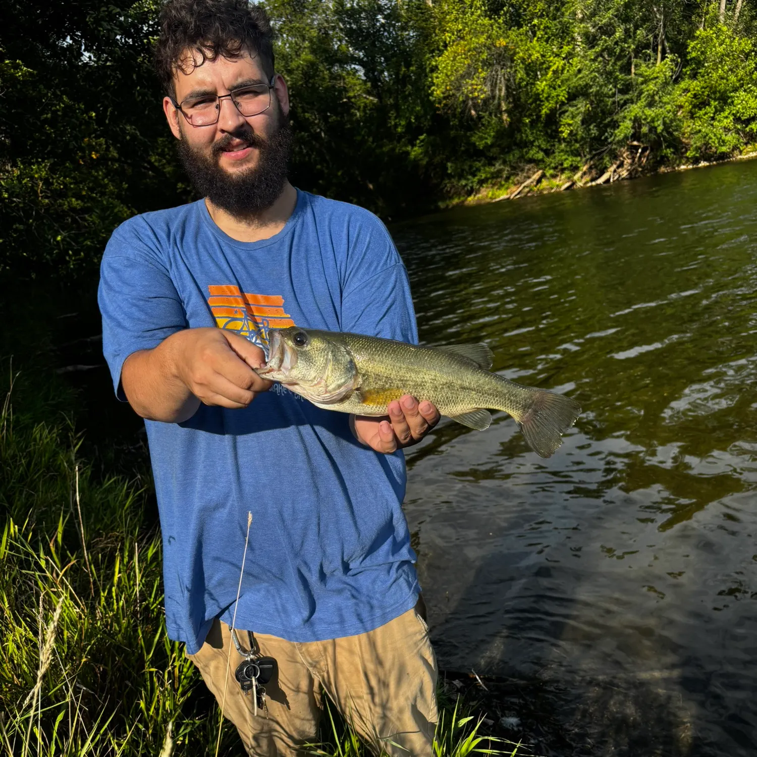 Largemouth bass caught on Fishbrain
