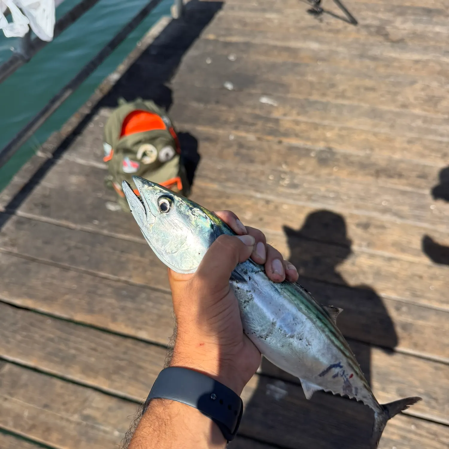 catch