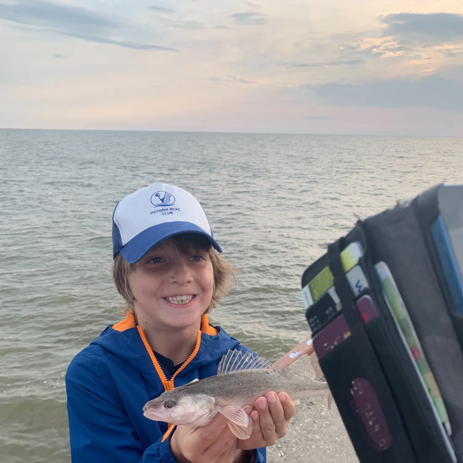 Sauger caught on Fishbrain