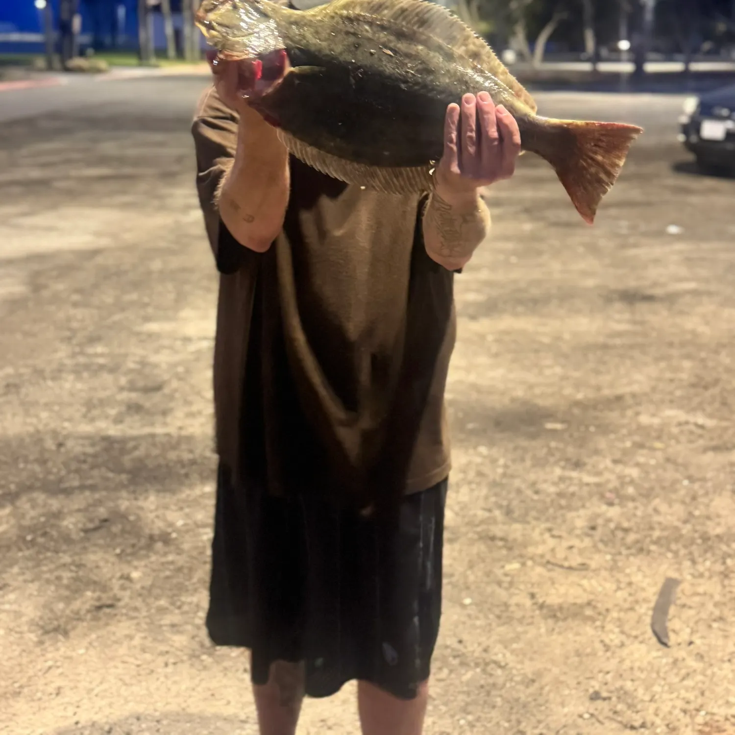 The most recent California halibut catches on Fishbrain