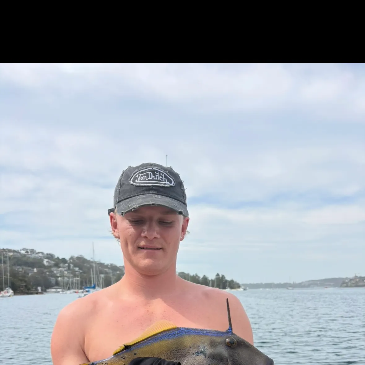 Yellowfin leatherjacket caught on Fishbrain