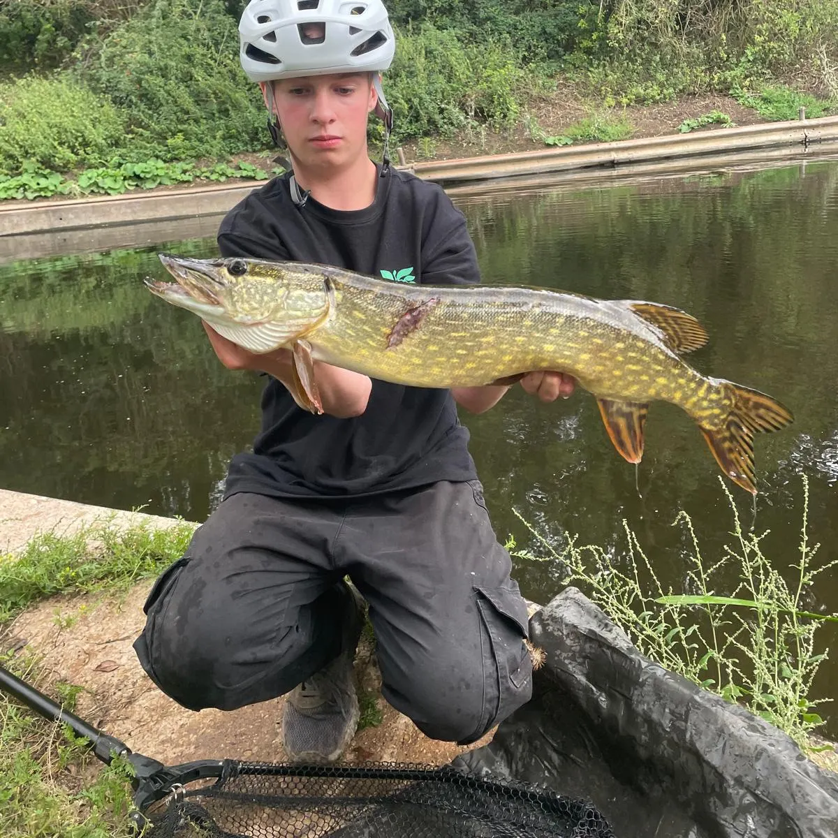 Northern pike caught on Fishbrain