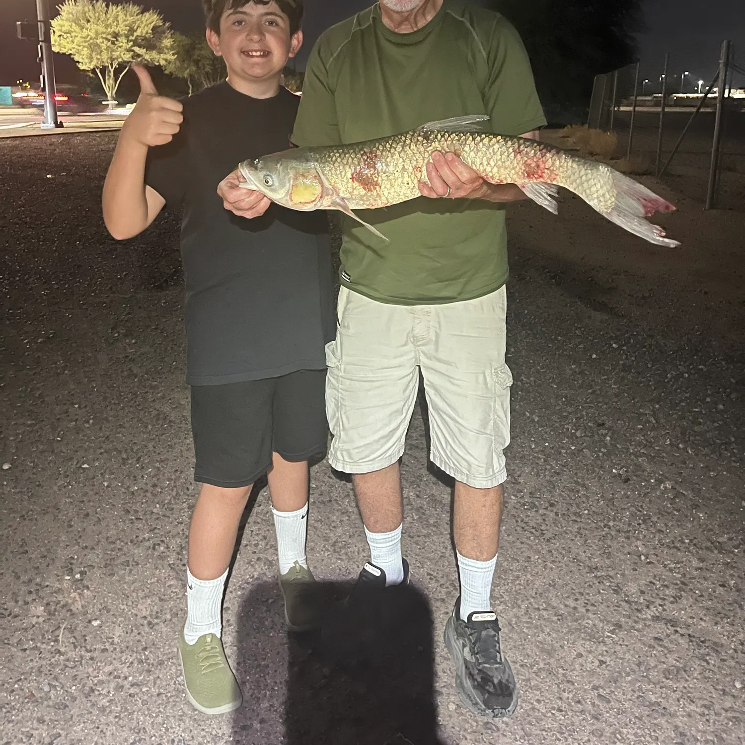 Grass carp caught on Fishbrain