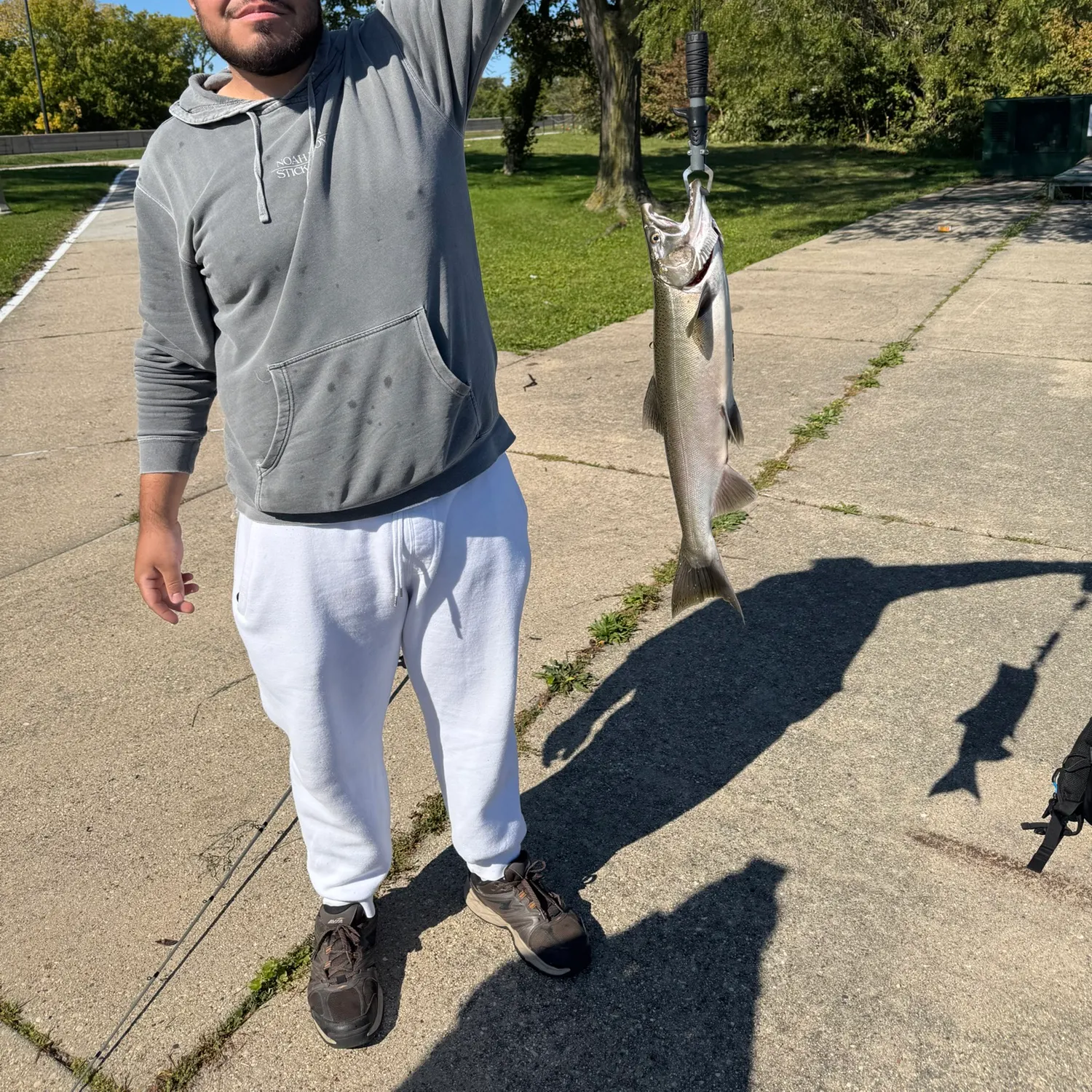 Coho salmon caught on Fishbrain