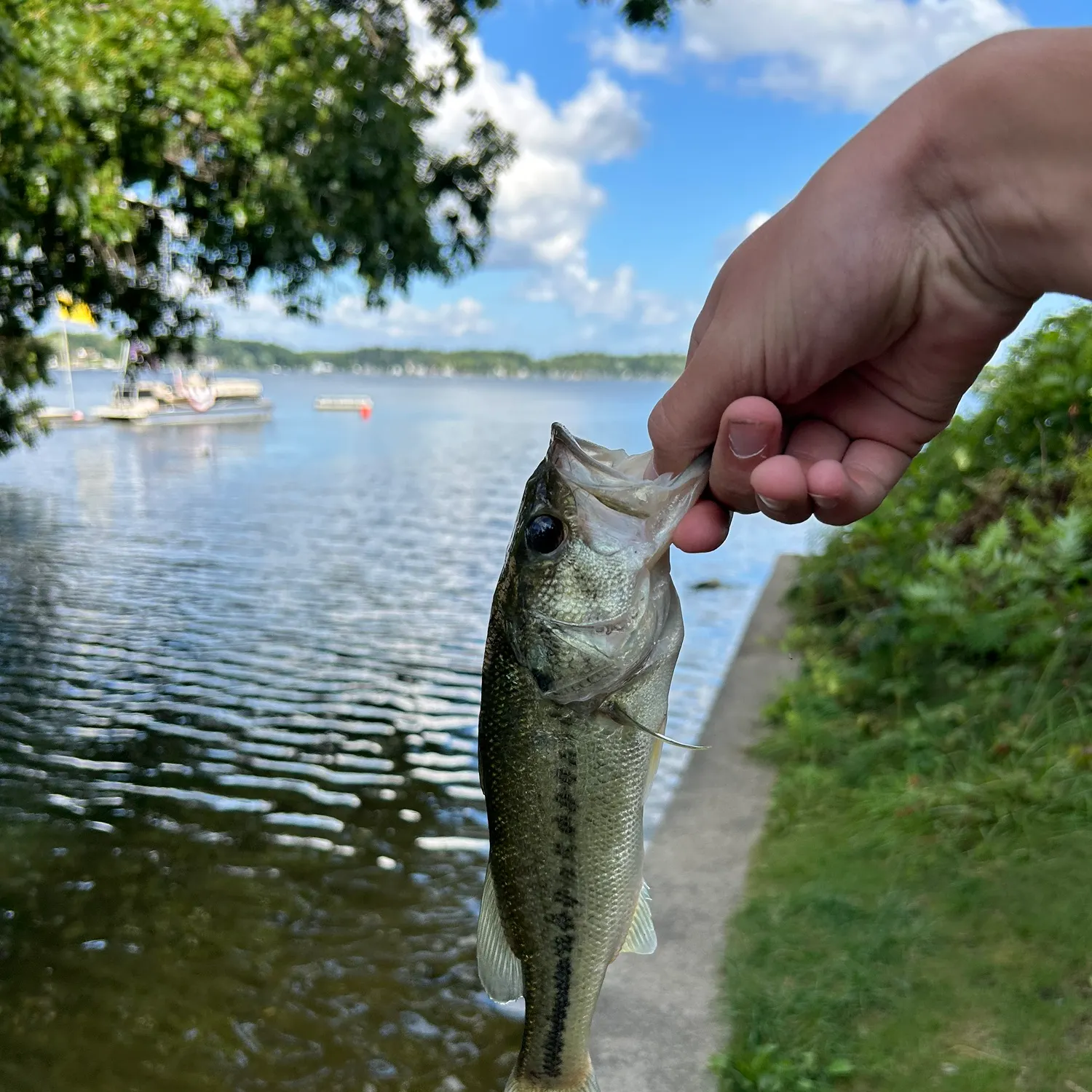 catch
