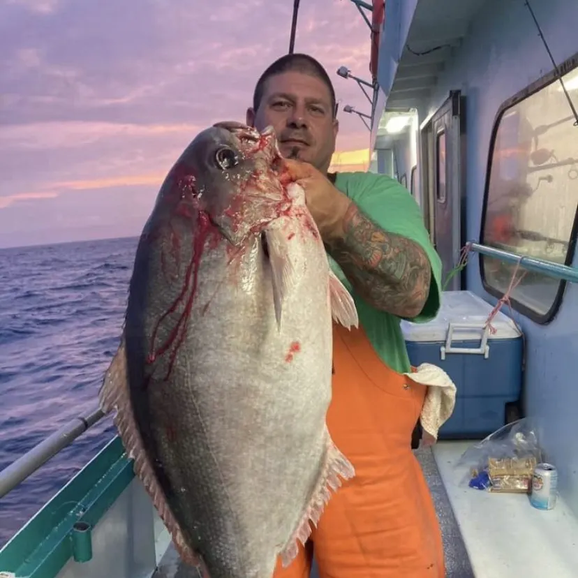 The most recent Barrelfish catches on Fishbrain