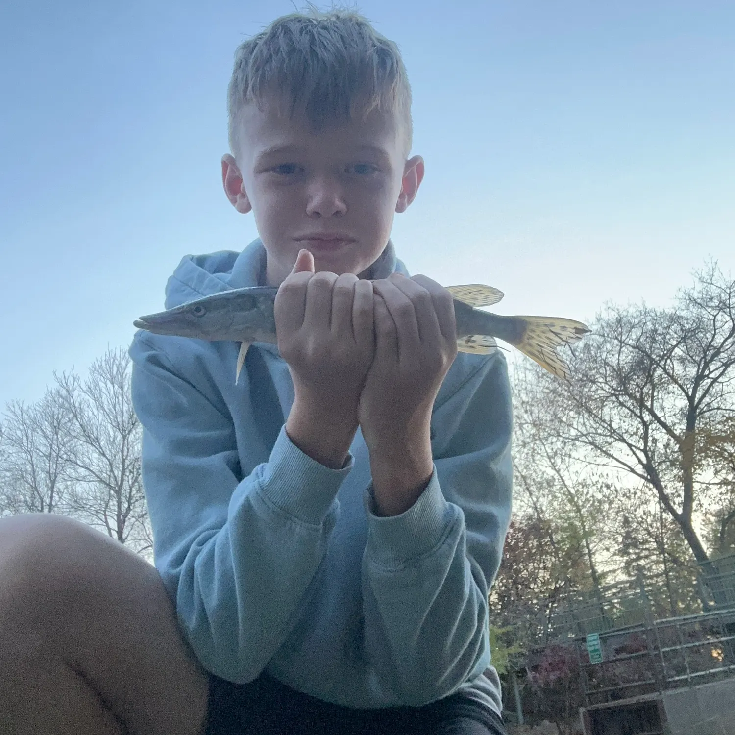 Northern pike caught on Fishbrain