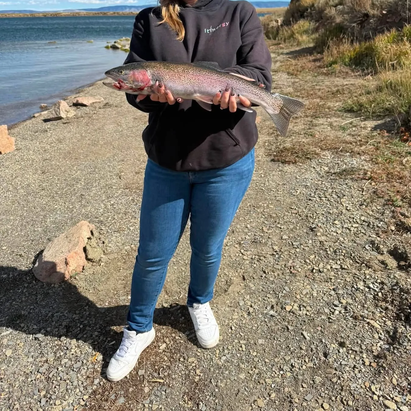 Rainbow trout caught on Fishbrain