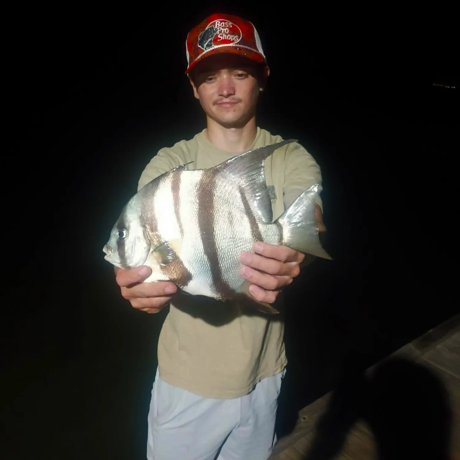 The most recent Atlantic spadefish catches on Fishbrain