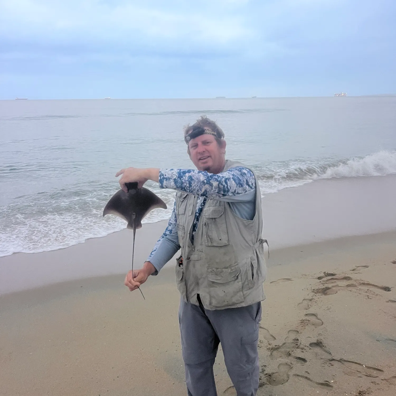 Bat eagle ray caught on Fishbrain
