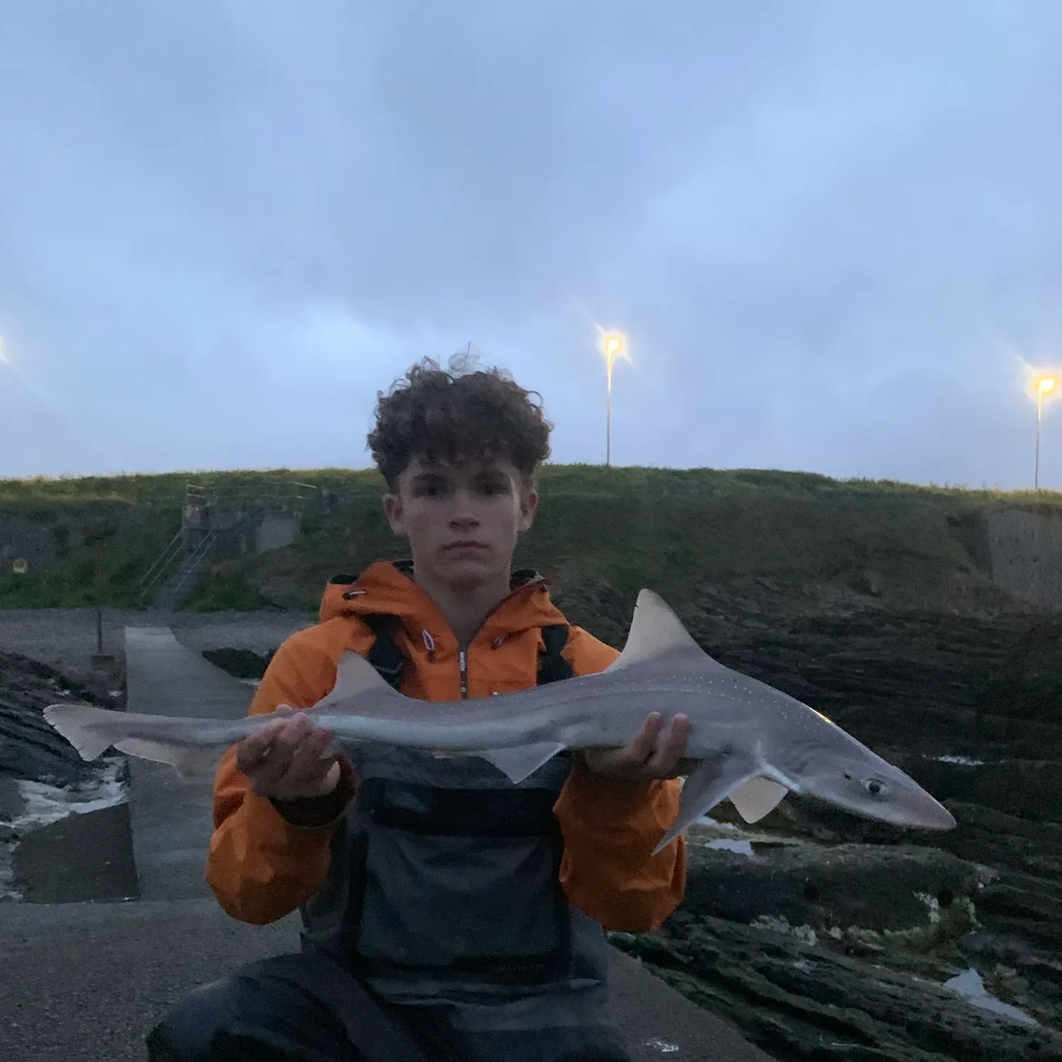 The most popular recent Common smooth-hound catch on Fishbrain