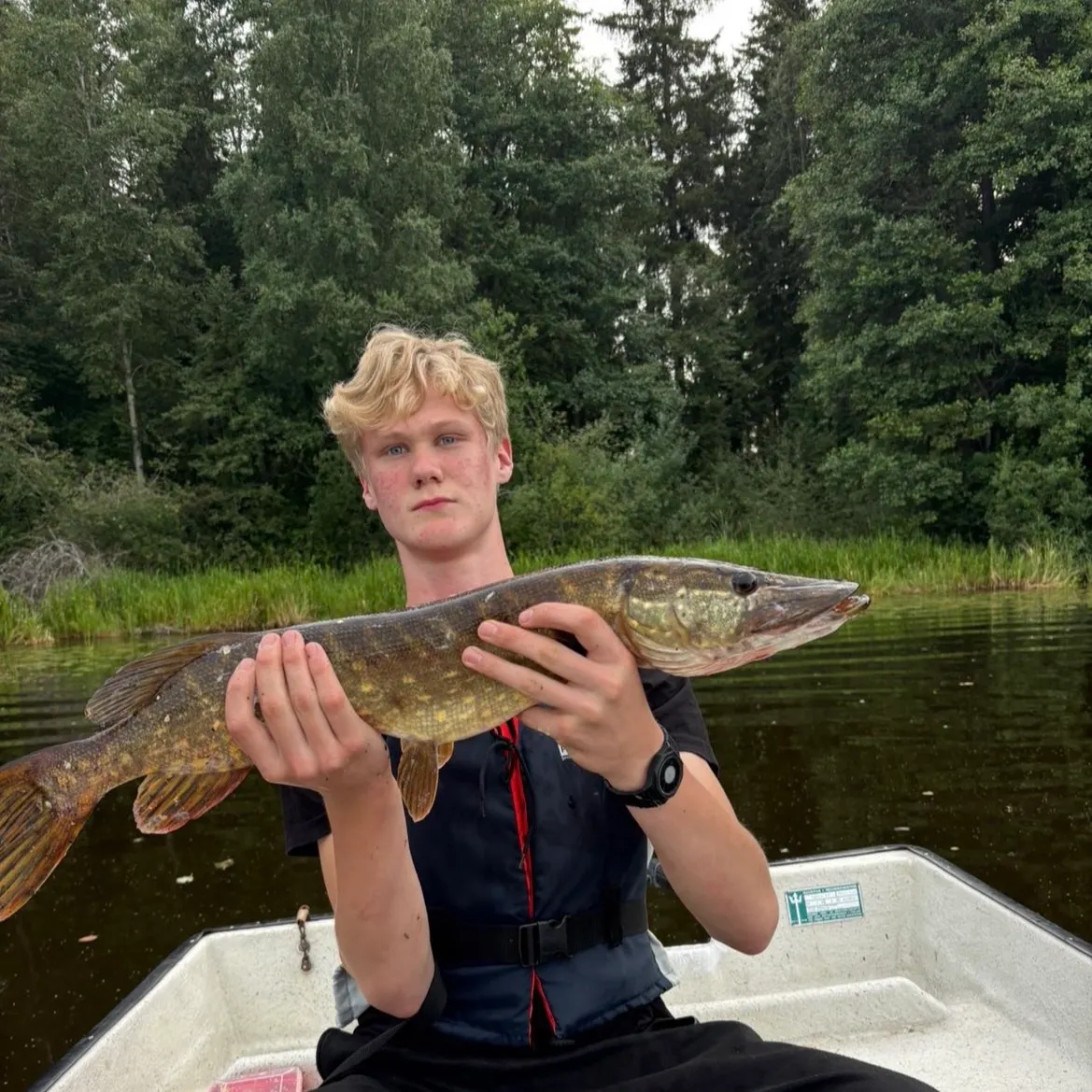 Northern pike caught on Fishbrain