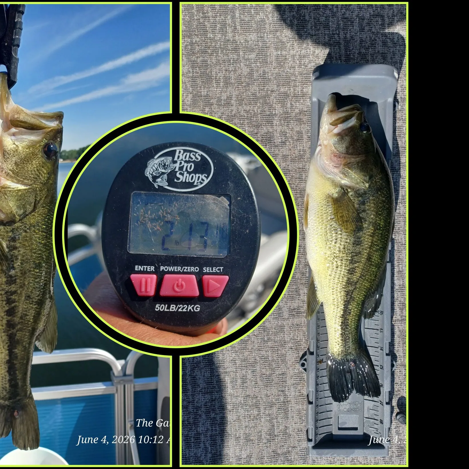 recently logged catches