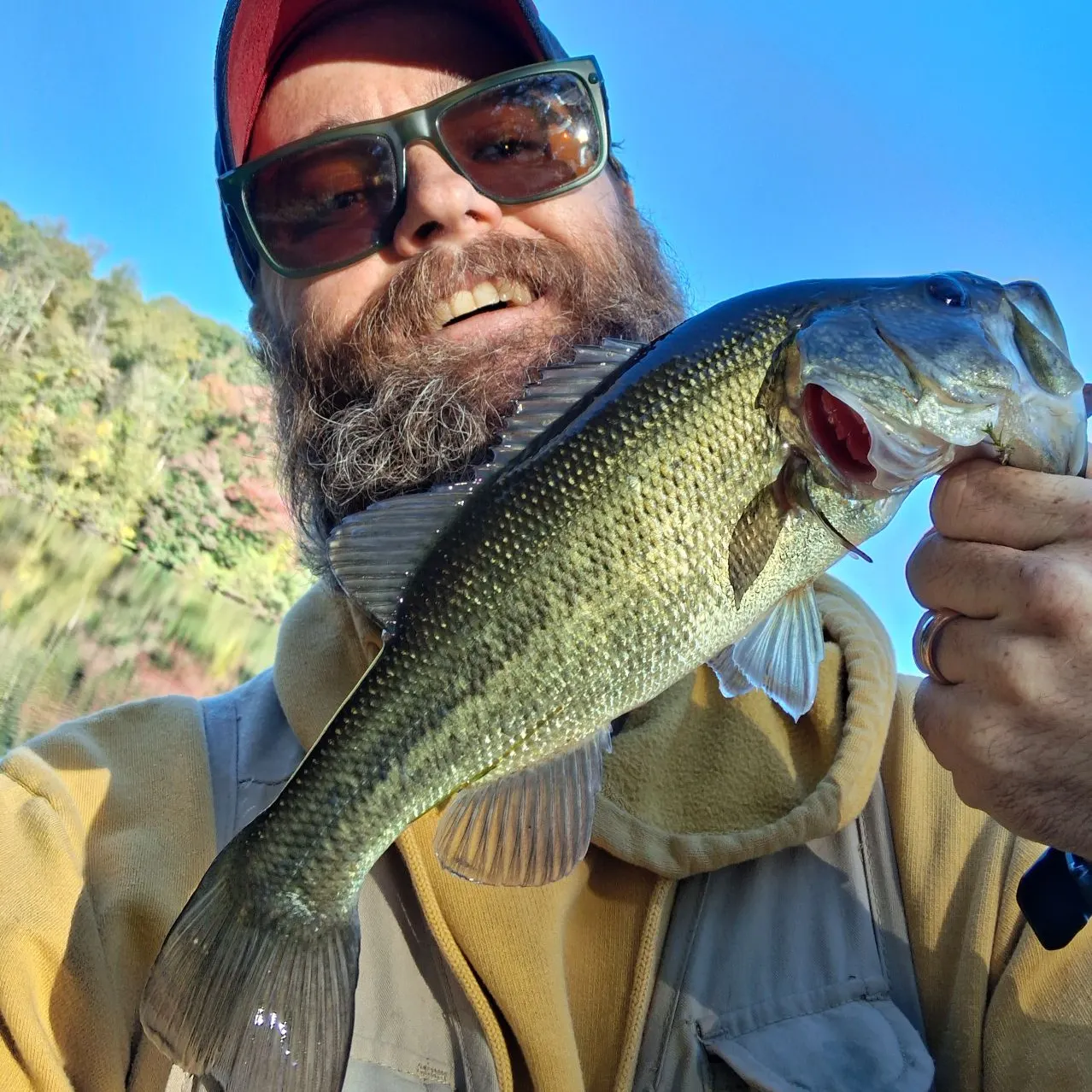 Largemouth bass caught on Fishbrain