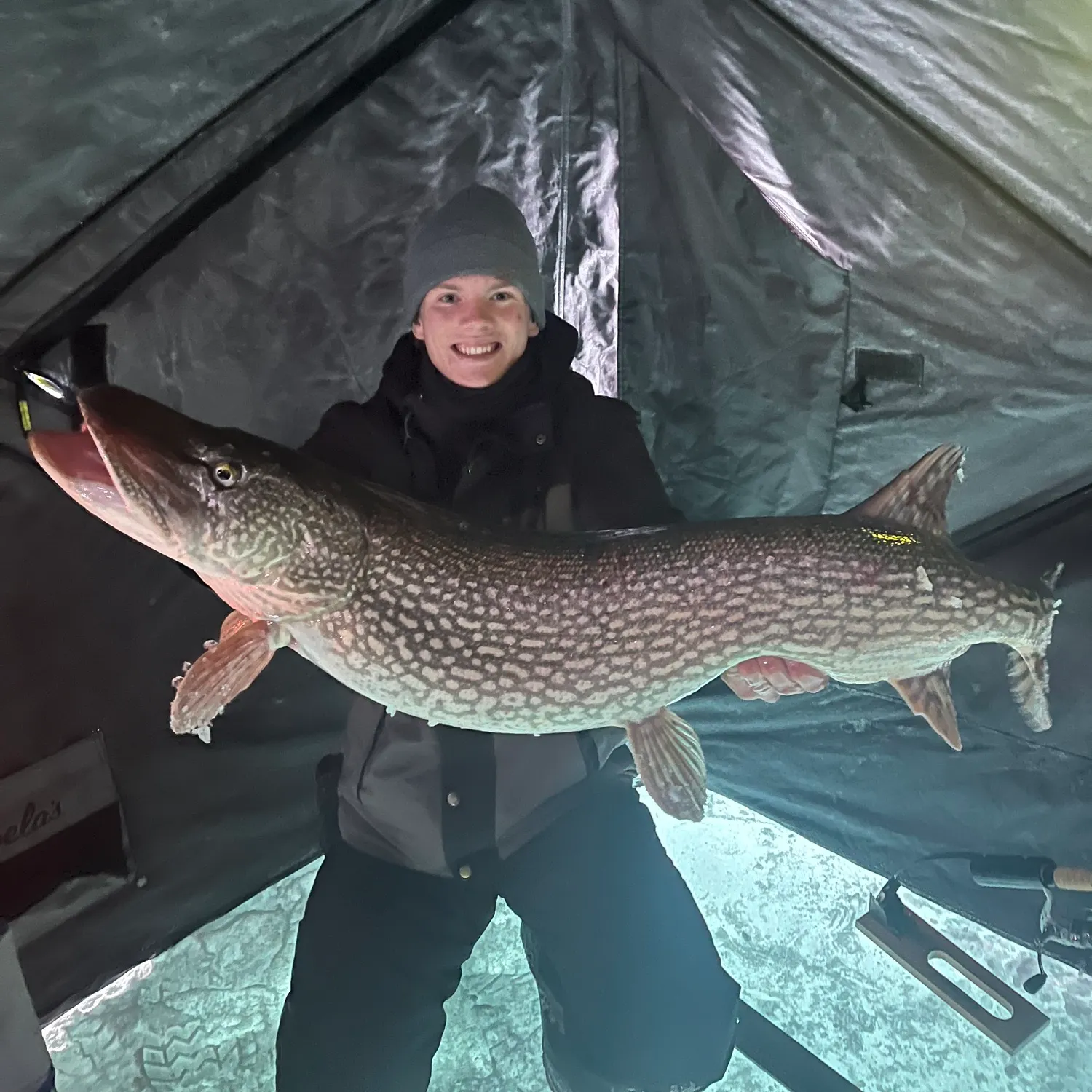 The most recent Northern pike catches on Fishbrain