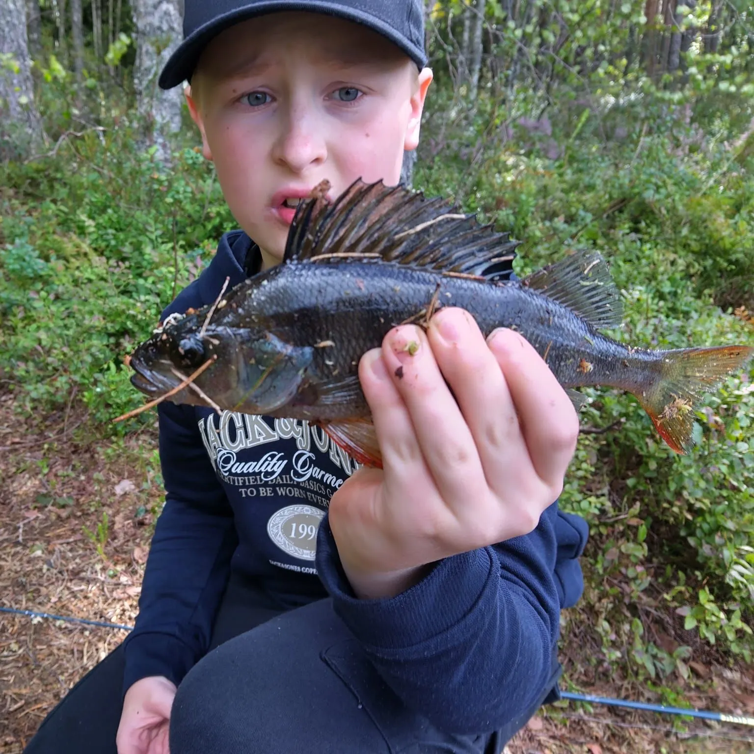 European perch caught on Fishbrain