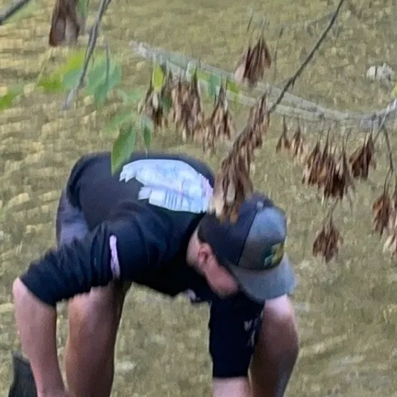 Chinook salmon caught on Fishbrain