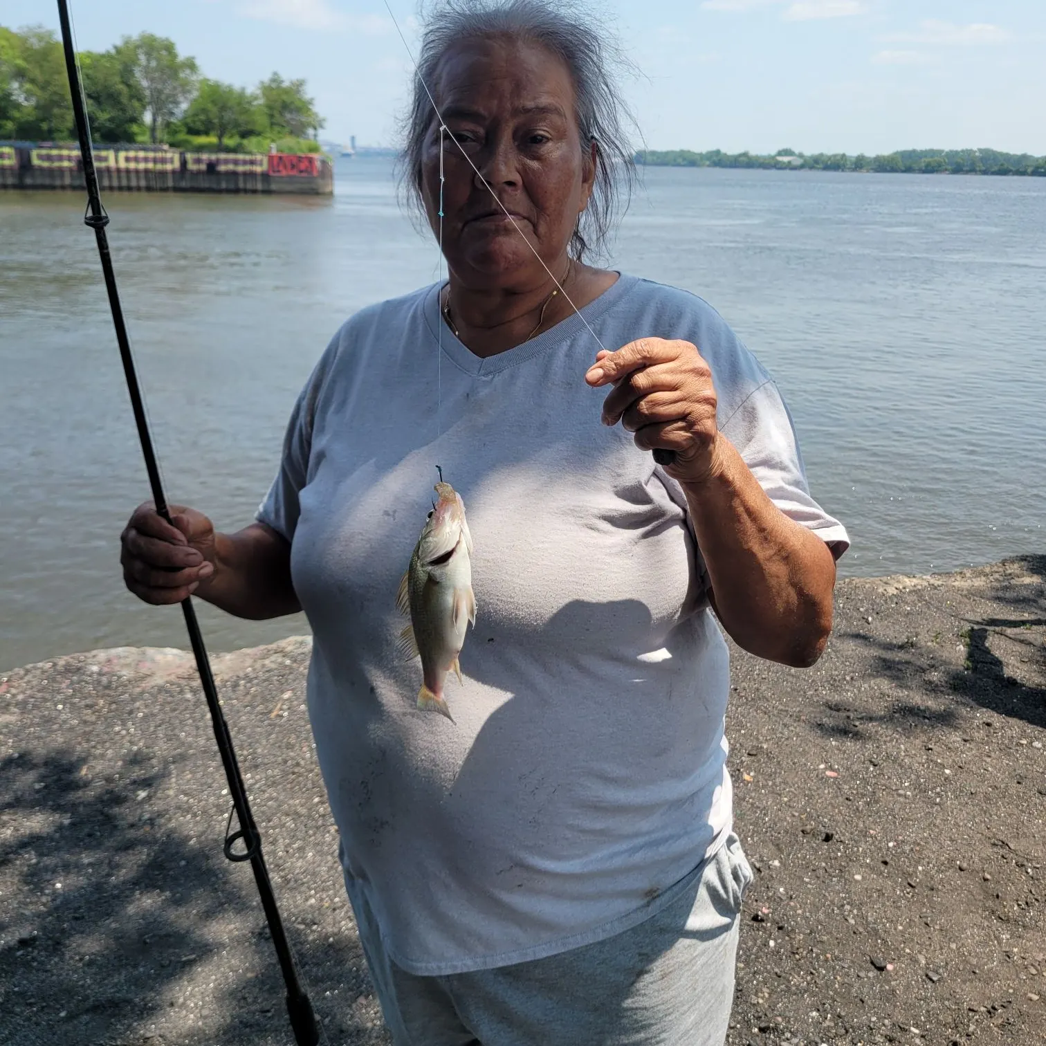 Fish caught on Fishbrain