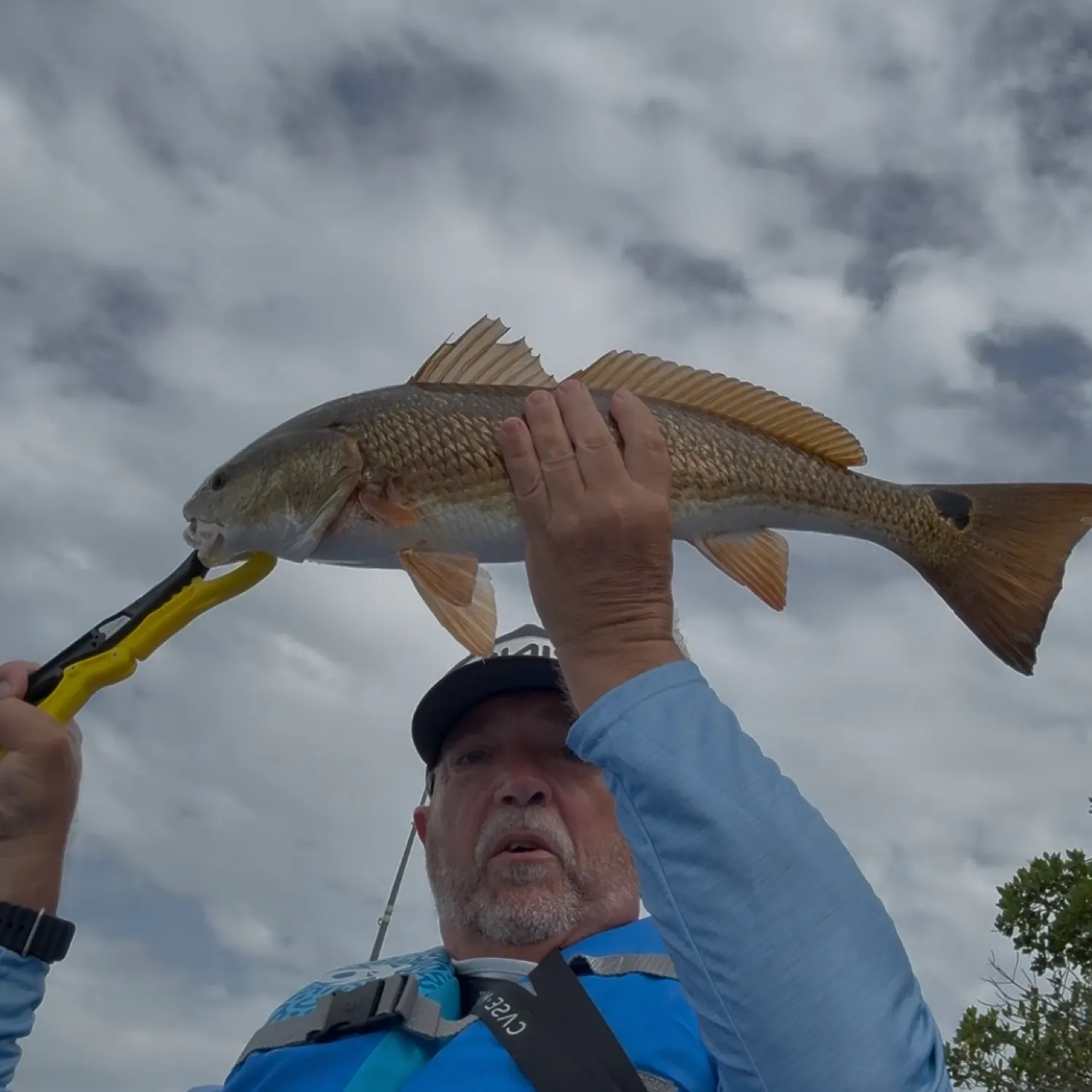 The most recent Red drum catches on Fishbrain