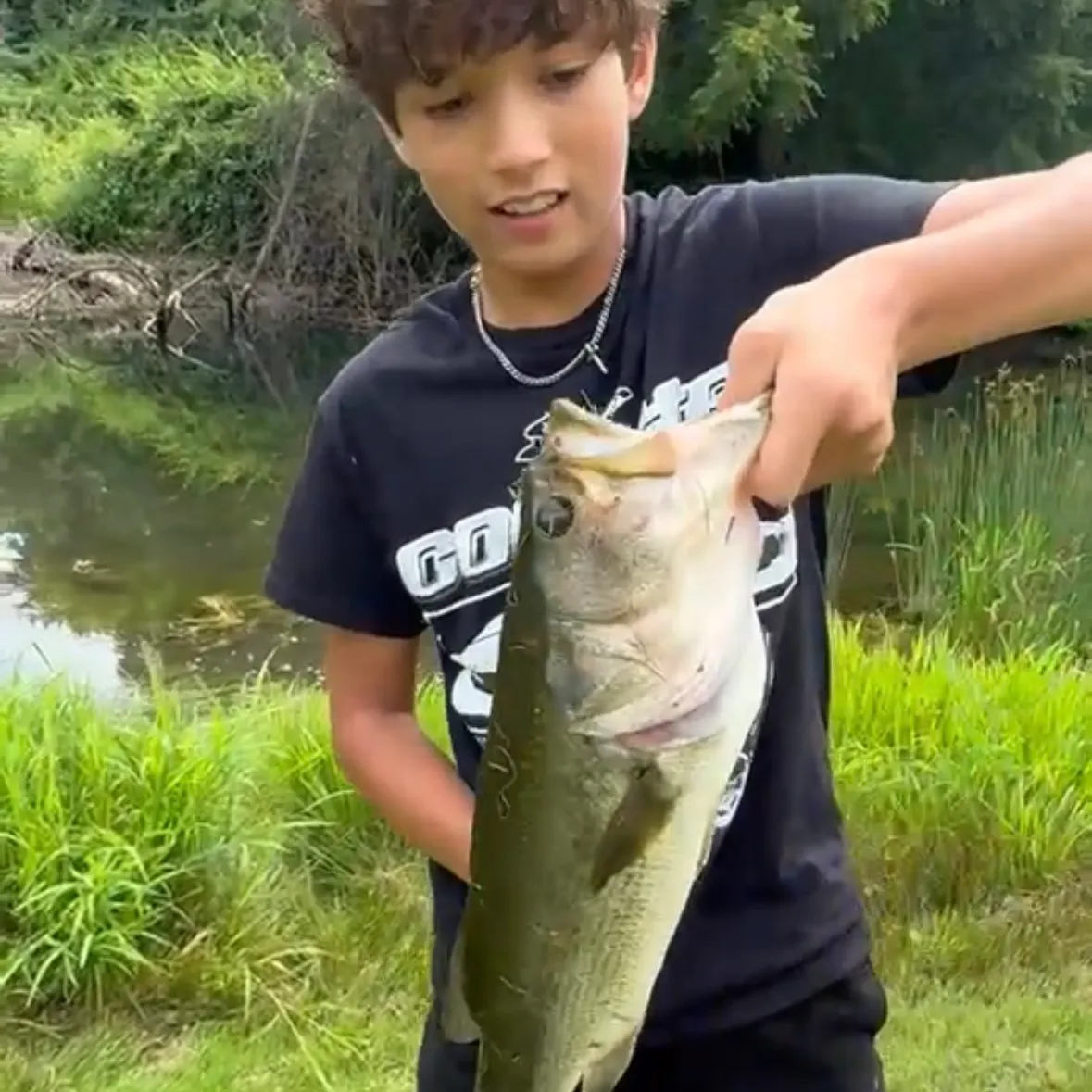 Largemouth bass caught on Fishbrain
