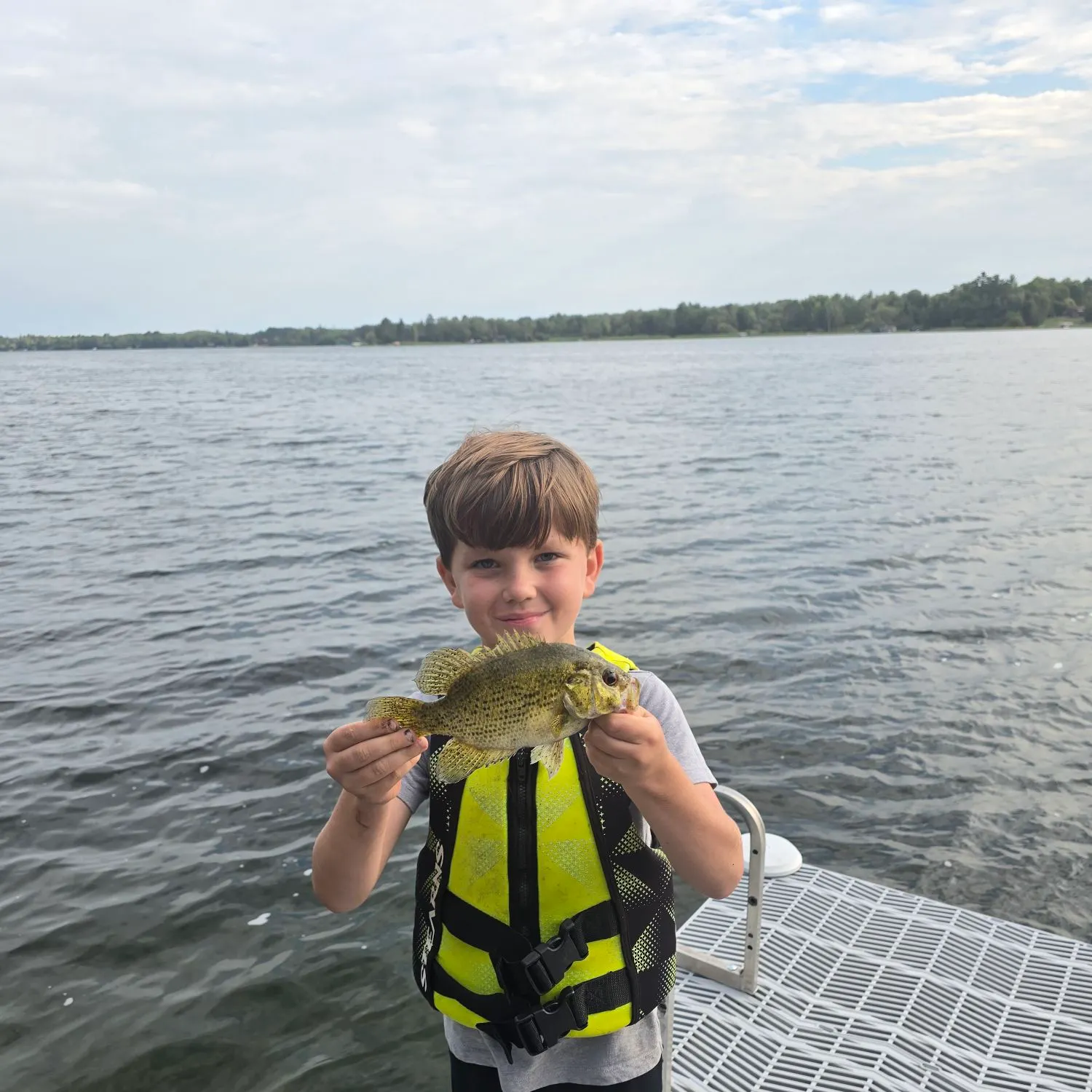 Rock bass caught on Fishbrain