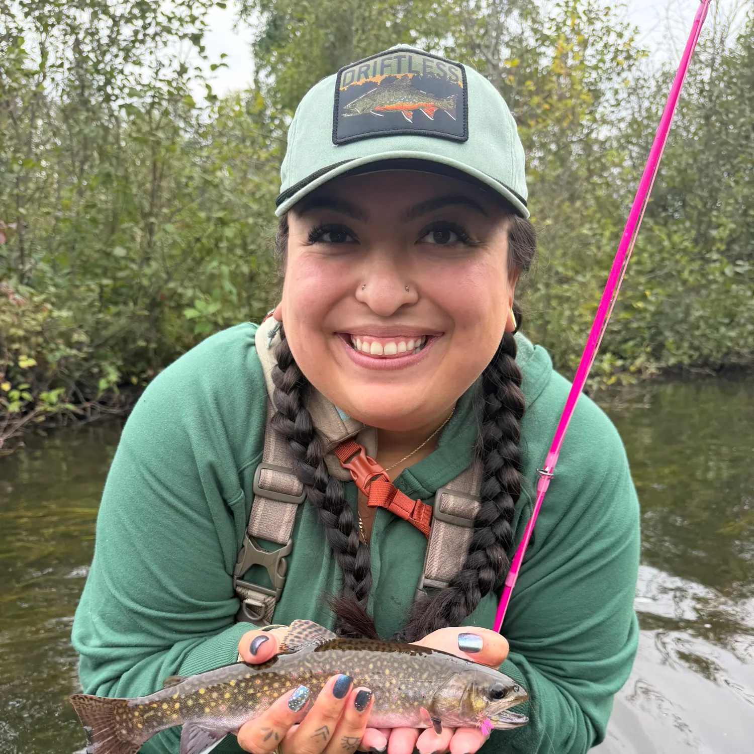Brook trout caught on Fishbrain