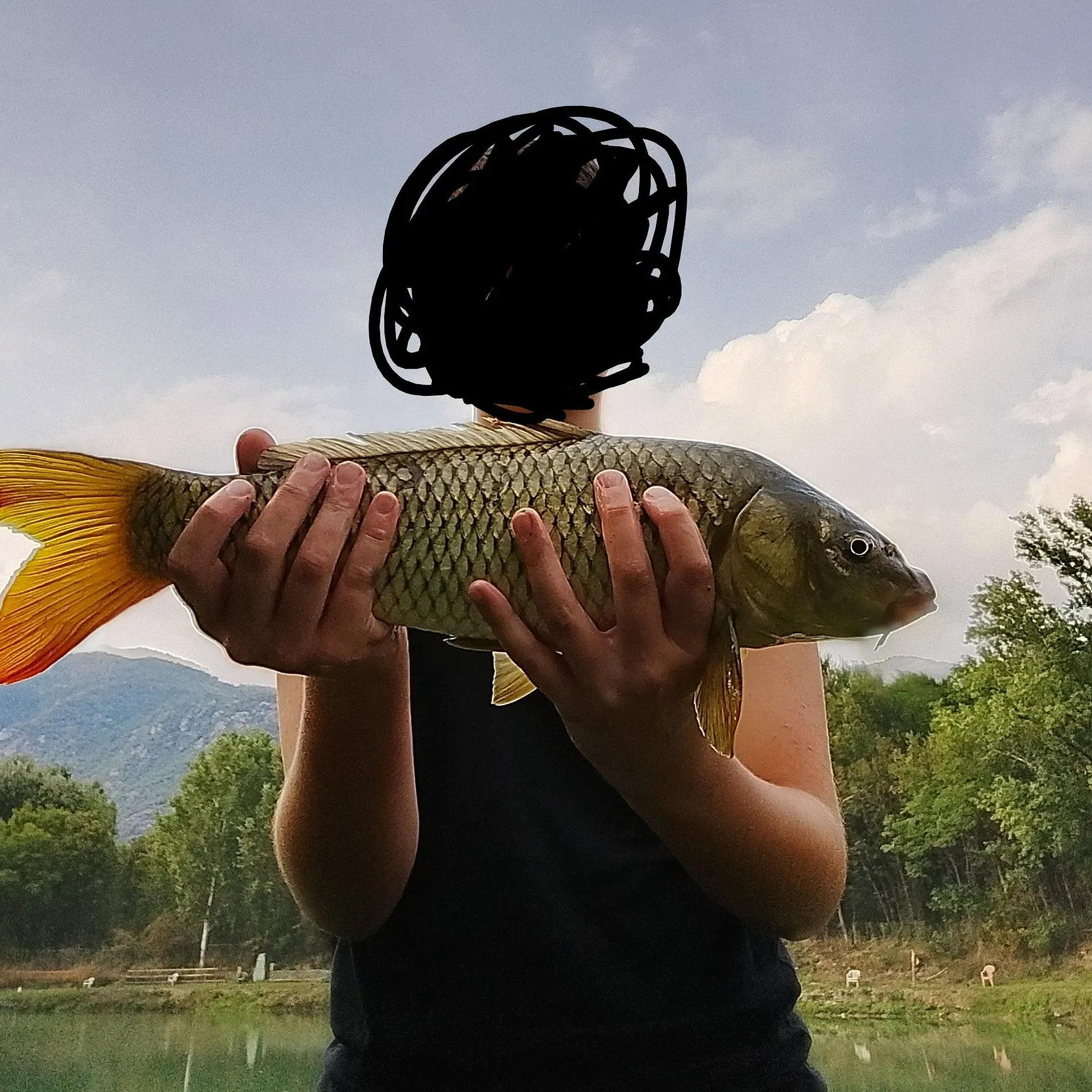 Common carp caught on Fishbrain