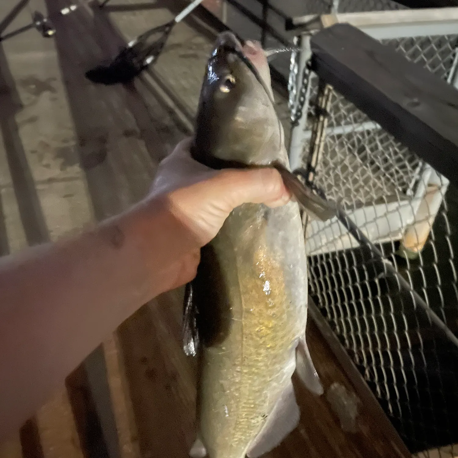 catch