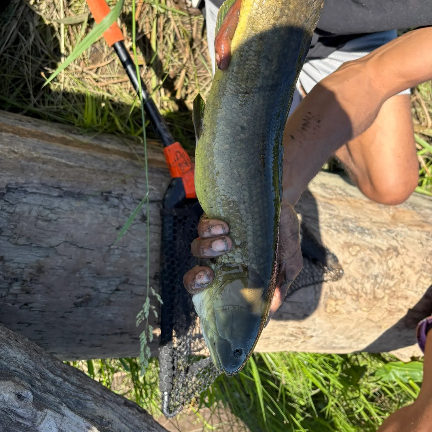 catch