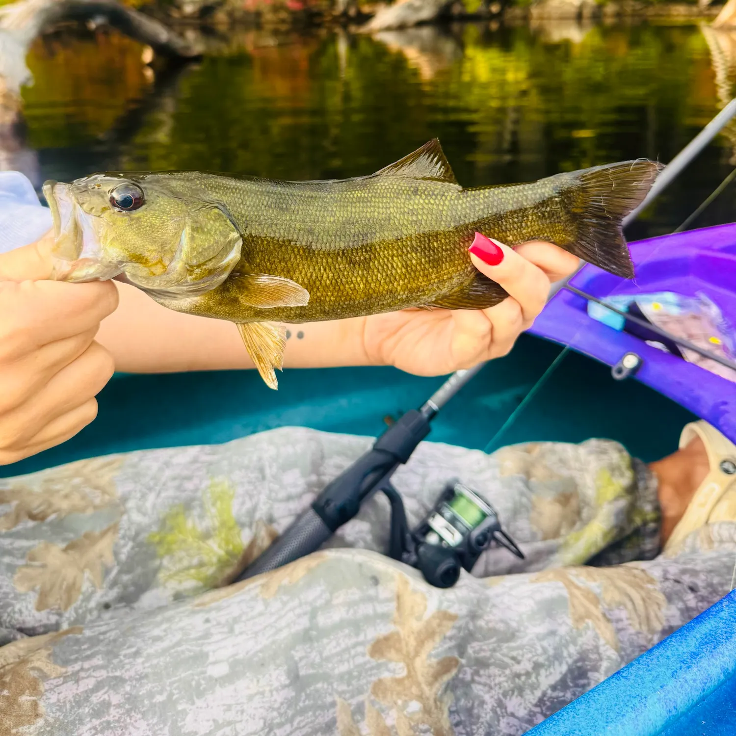 Smallmouth bass caught on Fishbrain
