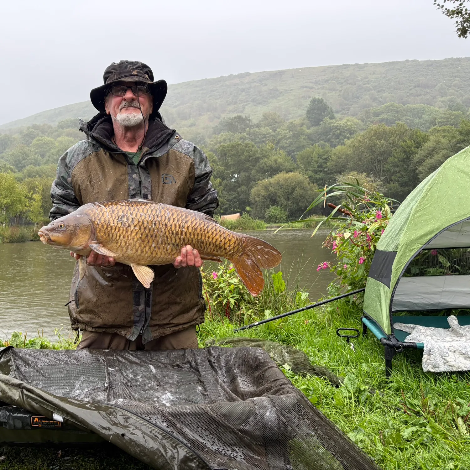 Common carp caught on Fishbrain