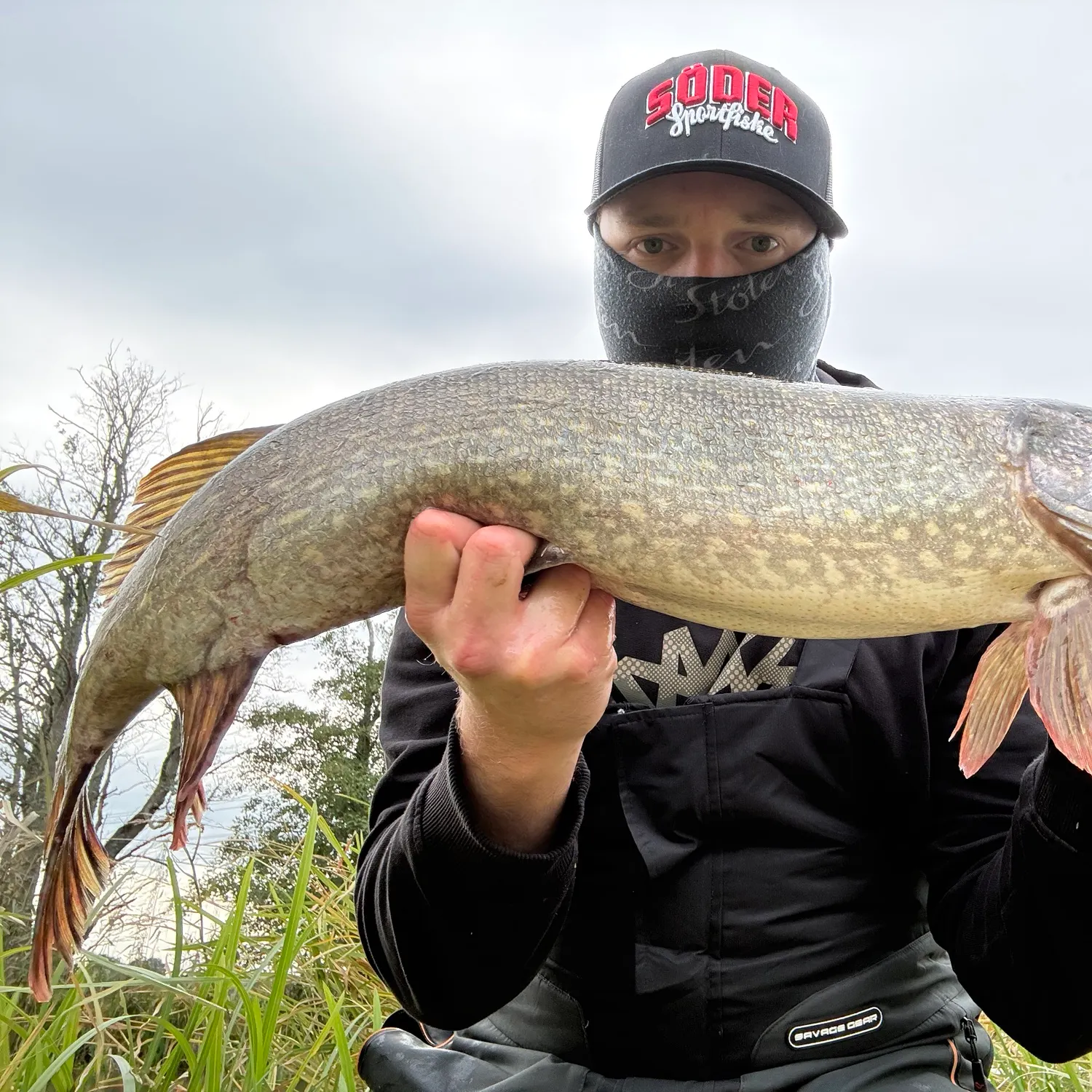 Northern pike caught on Fishbrain
