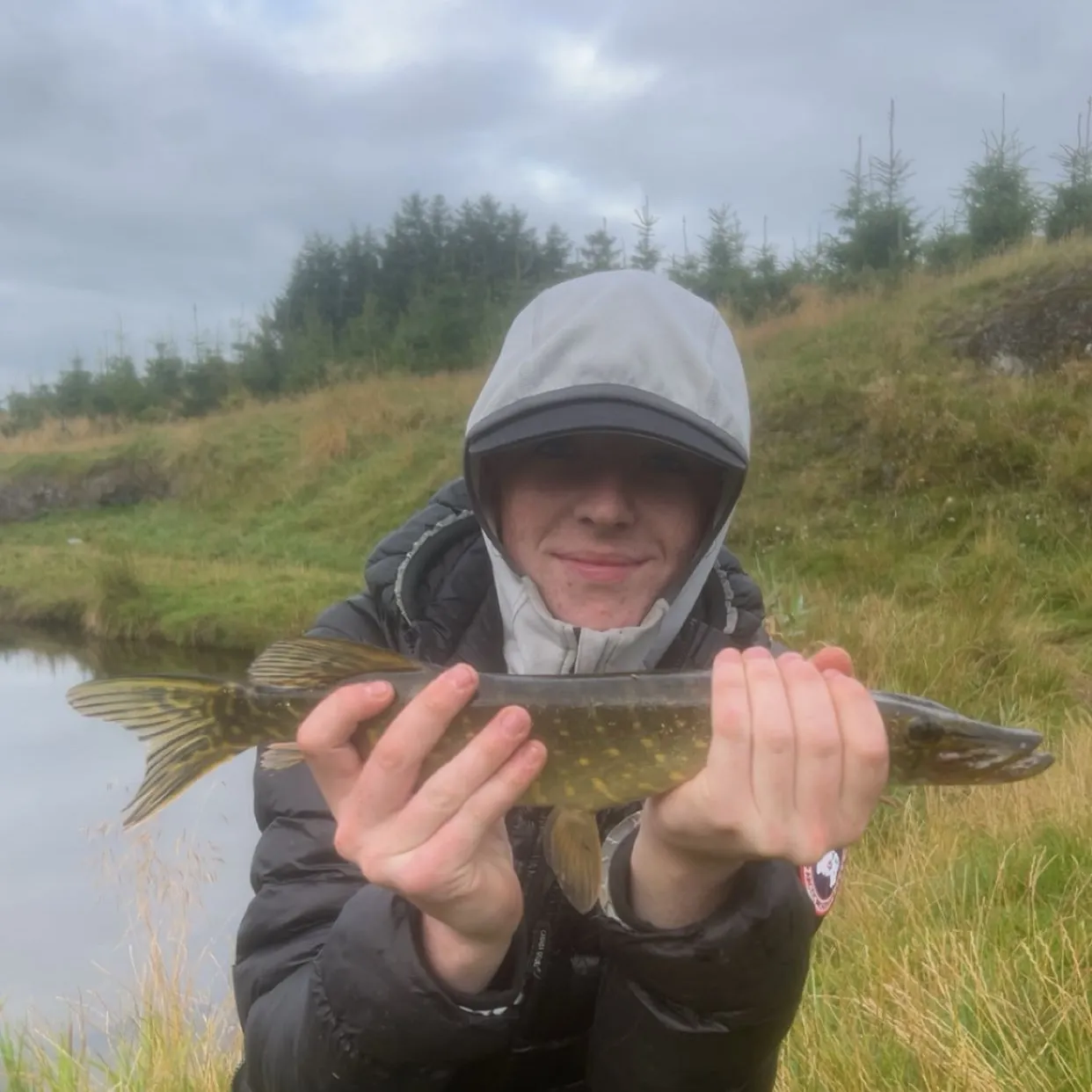 Northern pike caught on Fishbrain