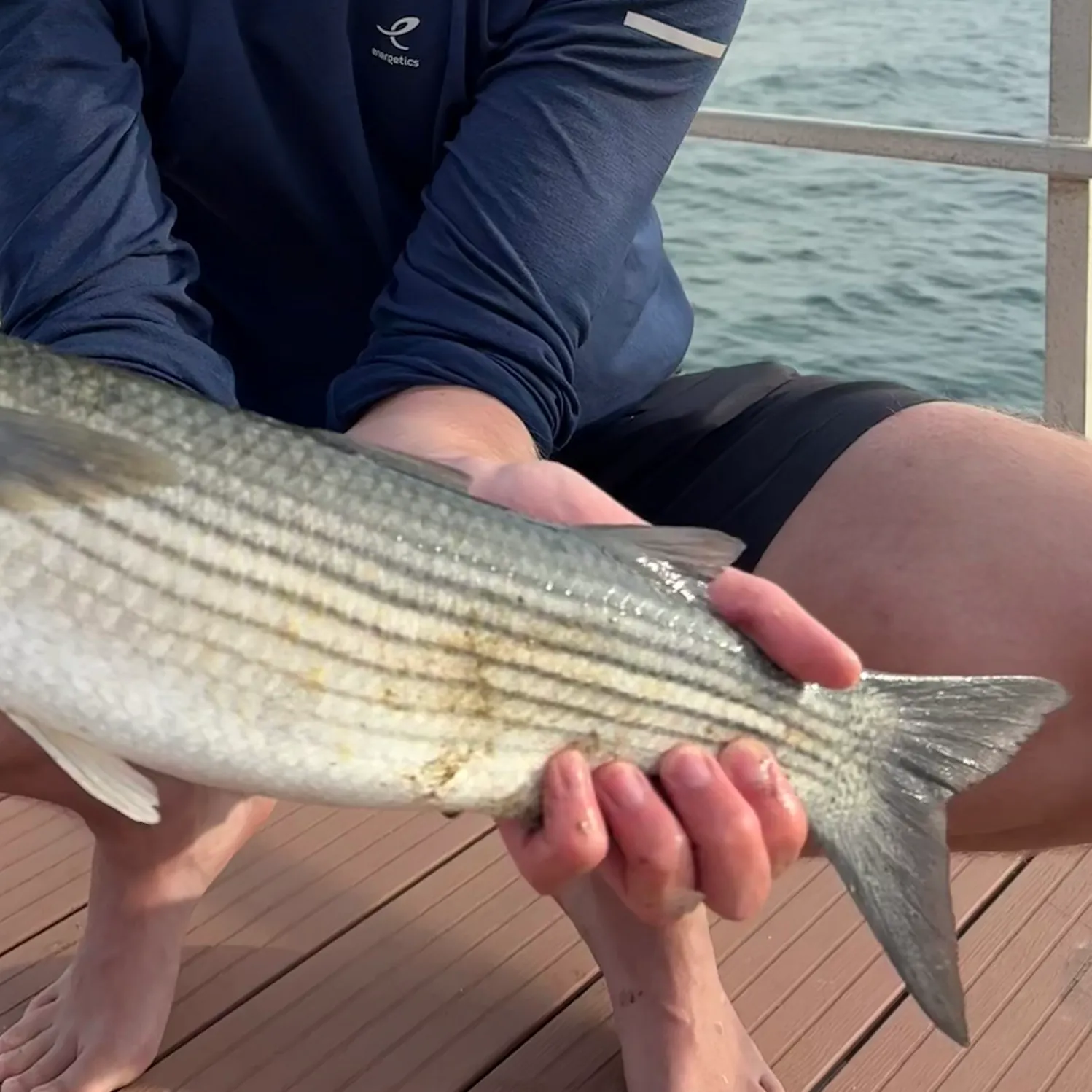 The most recent Thicklip grey mullet catches on Fishbrain