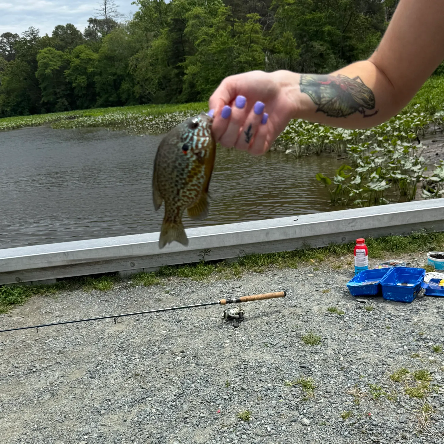 catch