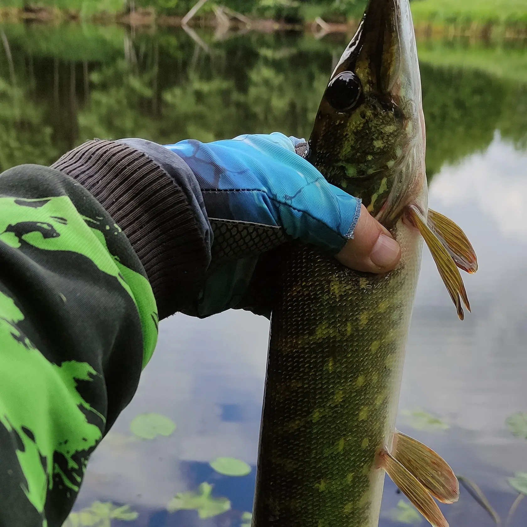 catch
