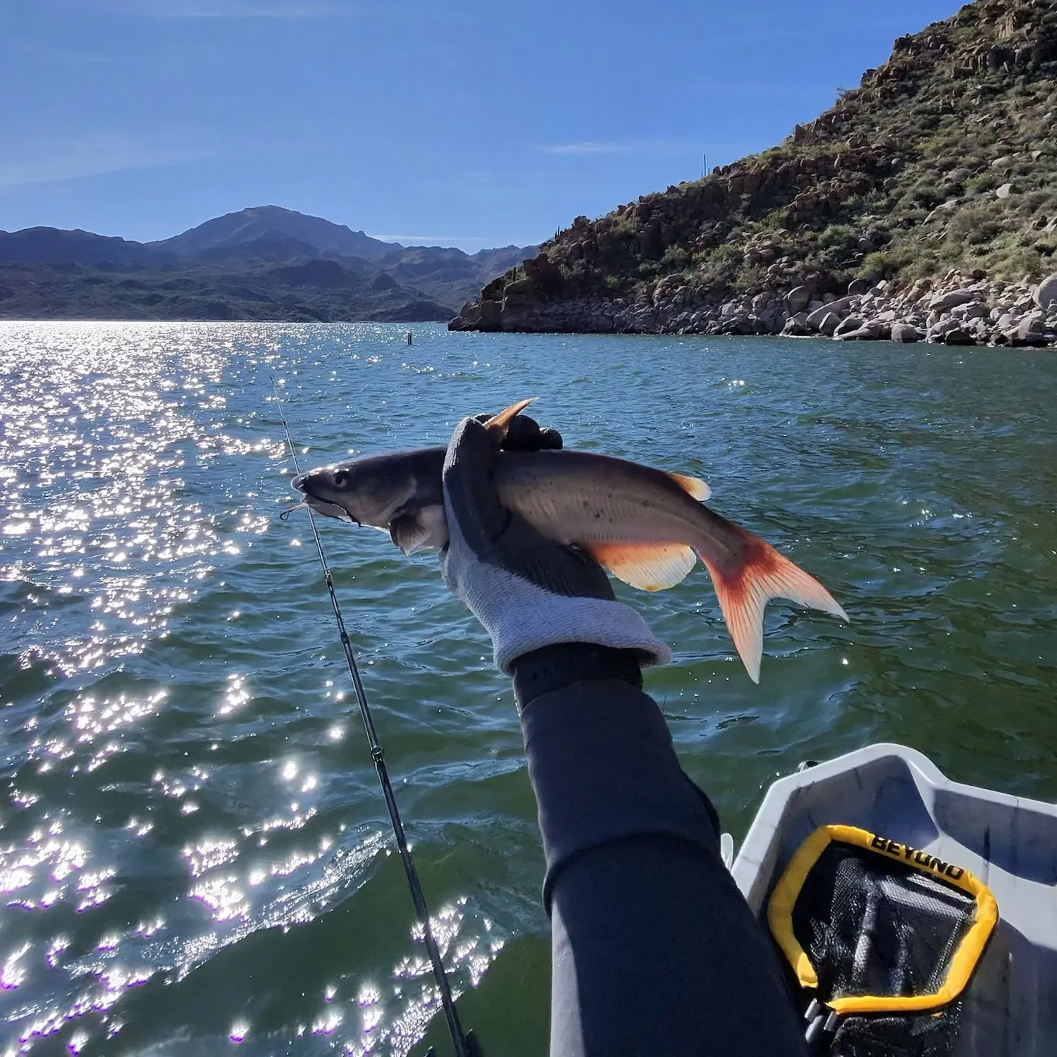 catch